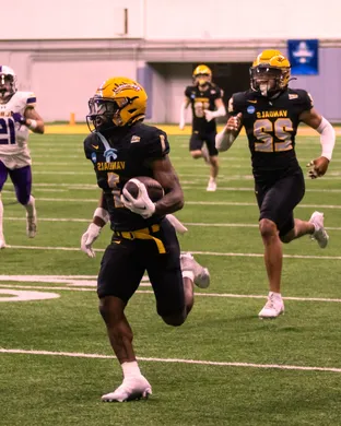 Idaho Vandals Football Moscow
